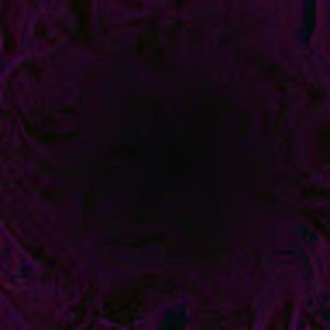 Meet your Posher, Nev